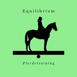 Equilibrium Pferdetraining
